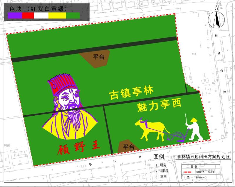 北斗卫星神定点，五彩水稻绘传奇