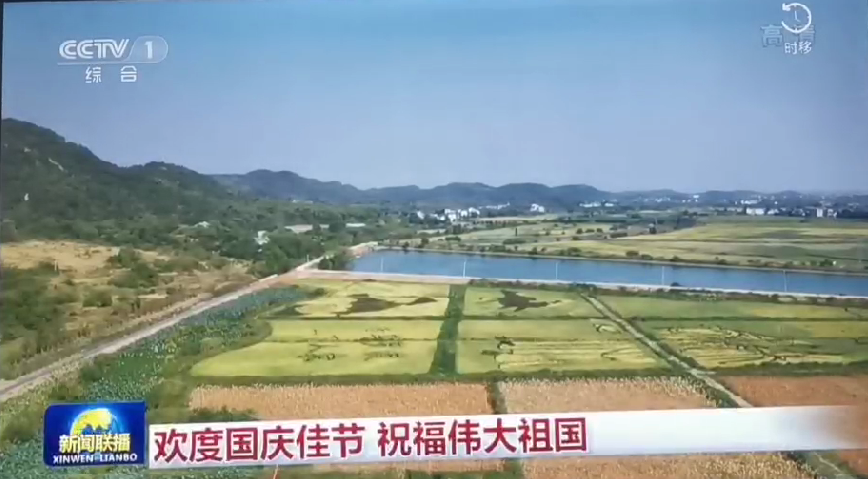 上央视-凯时网站五彩稻田画，助力乡村振兴